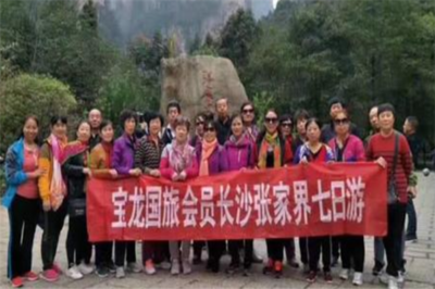 寶龍國際旅行社 開啟您的精彩旅程，專業旅游服務的不二之選